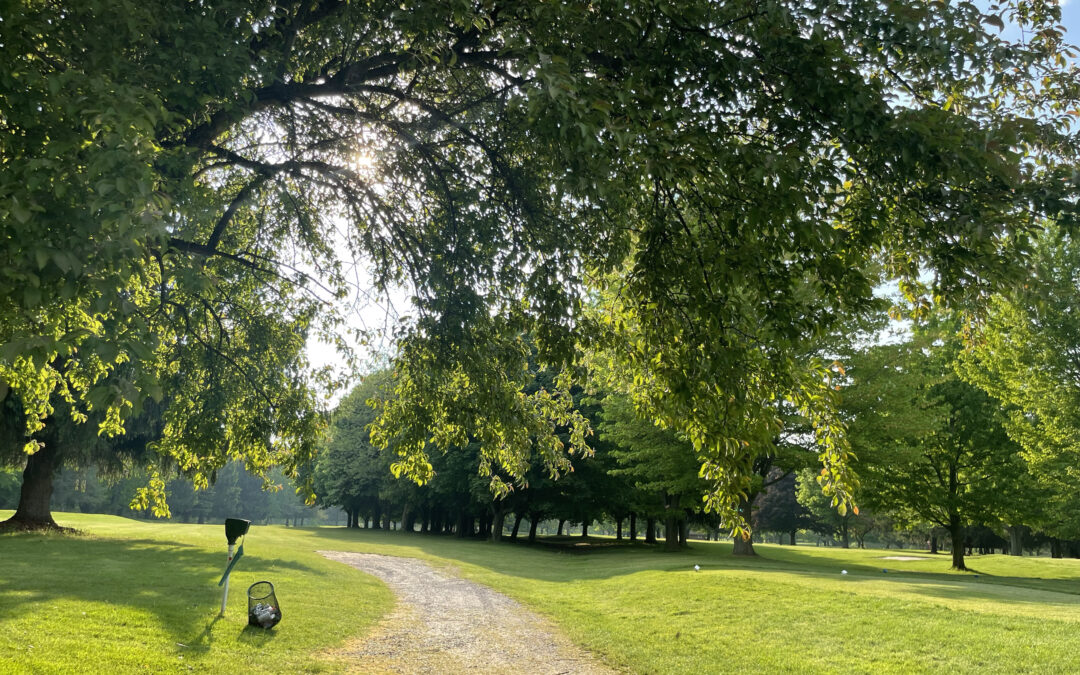 Explore 3 of the Best Public Golf Courses in Rochester, NY