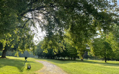 Explore 3 of the Best Public Golf Courses in Rochester, NY
