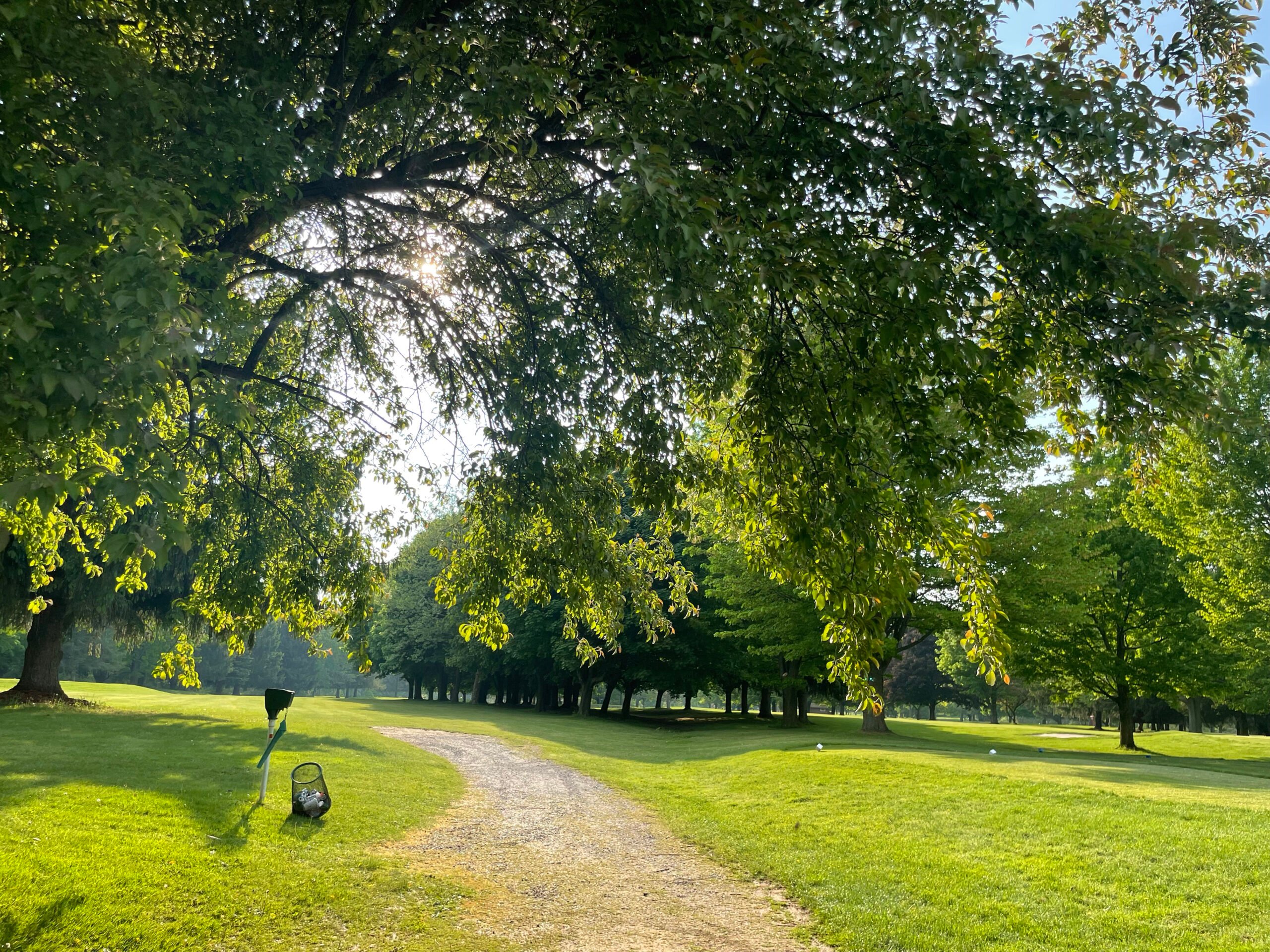 Summertime view of trees at Arrowhead Golf Course