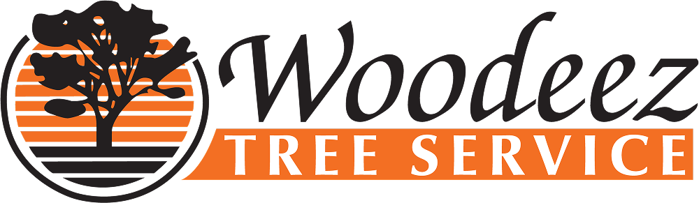 Woodeez company logo in full color