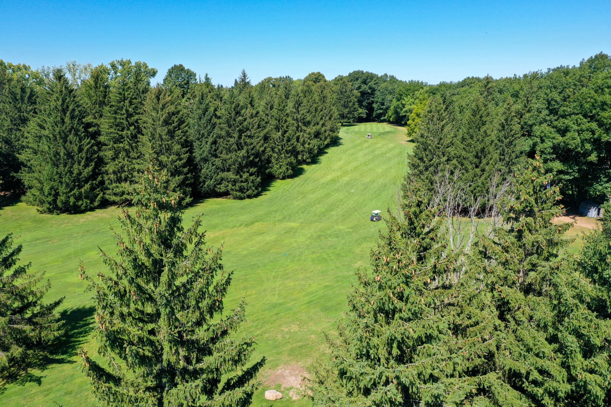 golf course with trees. A serene golf course on a sunny day.