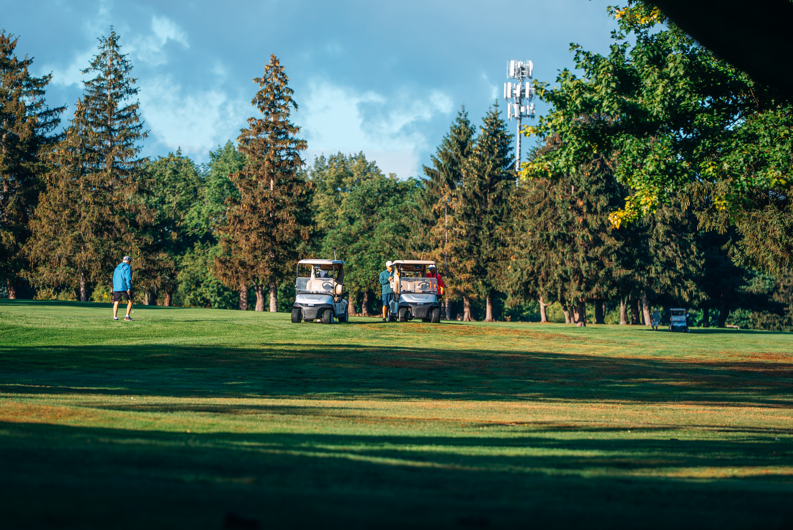 golf carts on a golf course. trees in background
