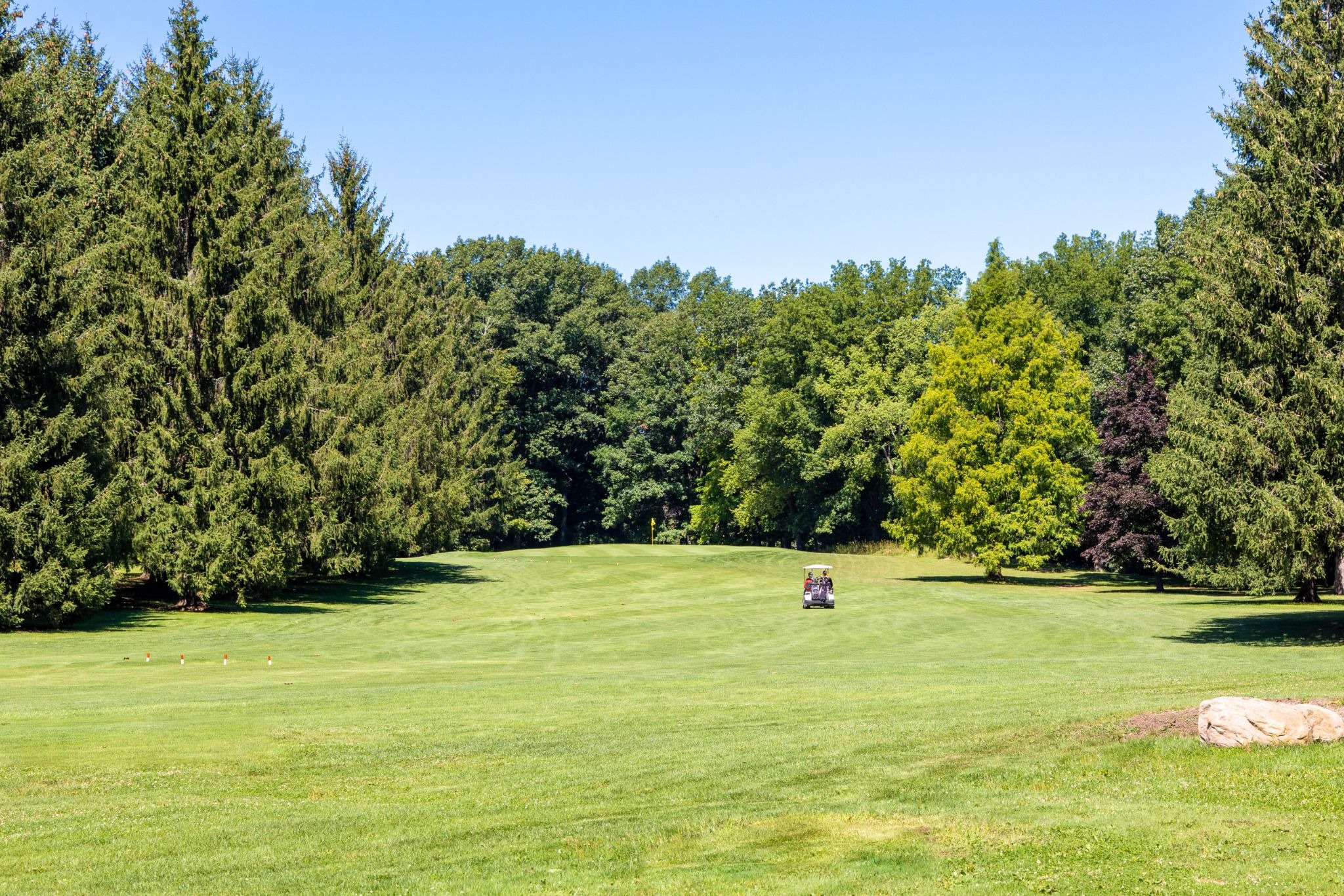 A green lawn with trees and a lawnmower. A clear blue sky above.
