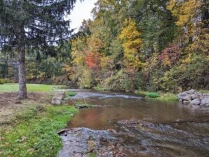 A serene creek flows through a park bordered by evergreens and fall foliage.